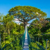 15_gettyimages_865821532_high_resized