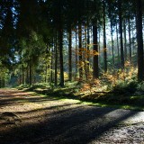 7_addecort-ardennenhockaipromenadedelahoegne