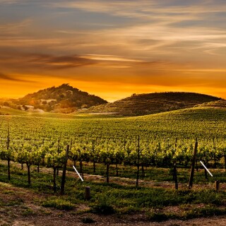 68747470733a2f2f6c68342e676f6f676c6575736572636f6e74656e742e636f6d2f2d4570734b4a4d42786236492f54427058756447345f50492f414141414141414245486b2f5f6b6e565a5a4f707454592f73313932302d77313932302d6831303830