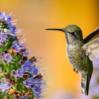 AOhGYyxoR7_OBi7Xc-t9wleMkbxM0PkD3NW6E9eU9NlT9IP_ggac0ugAt1XXiHq05jm-0-OLqxBzmIQxEo683iiPgt9mnQbJuyPvGk2VdbPSiDHG84IoKJ90w1920-h1080-p-k-no-nd-mv