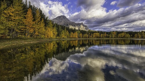 Wedge Pond Reflection