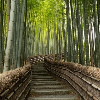 AOhGYywsgkSWfJuOO28L7DZ3bmE150gzrzs7Tczr9crFEQF4fMJYU7tk0W9BnLeLaClCBIbD-SYHXyIO2yILGGWpxSUTSGRgOFDjh7sZF3mcDHnjlyExy8cw1920-h1080-p-k-no-nd-mv