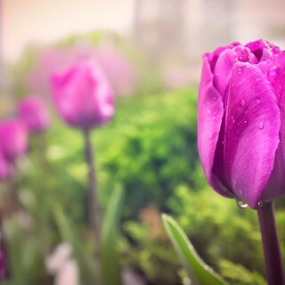 AOhGYyy_3velKbQJoyxTw_7GwCM3gm9pAclxwMZo55KCTRae05FWmsRzdDhEdCcMs76E5m6x9ljPlavp2RduT_ESEyRN3BXd7TARPtimFoU1rxfO6-oNKDIzw1920-h1080-p-k-no-nd-mv