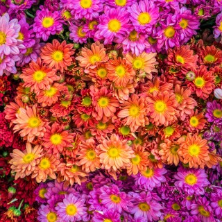 AOhGYyzm3s_v59w3NI8EAjQsWJ5SF7nbv3suksSzX5fdu4E5Bw-r8qo-q0v43xqKJW9M7d-sQ-MhelYPfkYoAtUDkuJmxR-AGA3-JEaePHiDKPpLYCUvxKMw1920-h1080-p-k-no-nd-mv