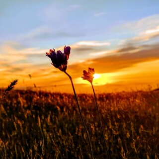 IMG_20190427_194534-EFFECTS