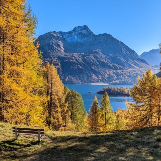 PXL_20211024_134451649